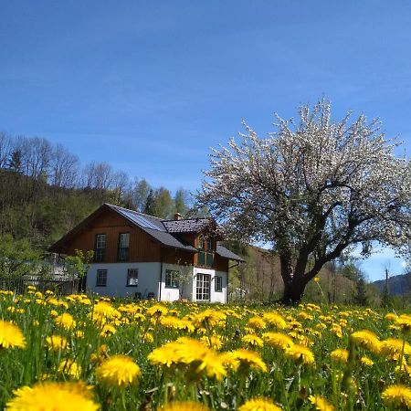 Gaestehaus Blonbauer Lägenhet Schladming Exteriör bild