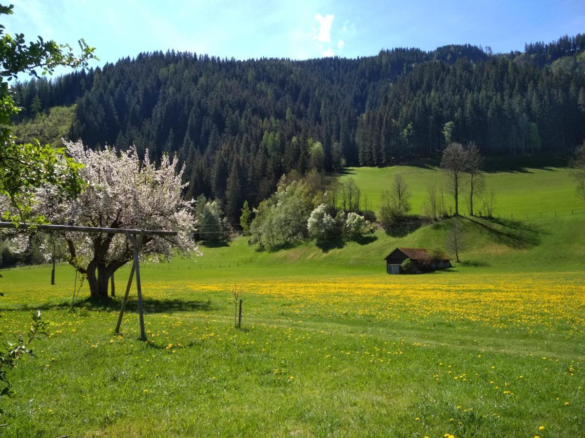 Gaestehaus Blonbauer Lägenhet Schladming Exteriör bild