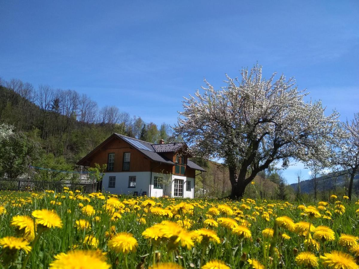 Gaestehaus Blonbauer Lägenhet Schladming Exteriör bild