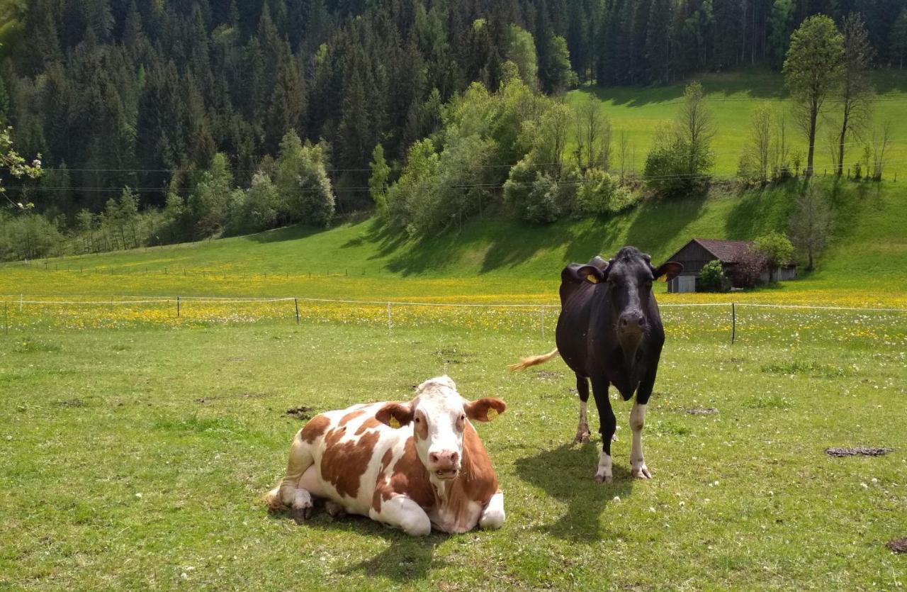 Gaestehaus Blonbauer Lägenhet Schladming Exteriör bild